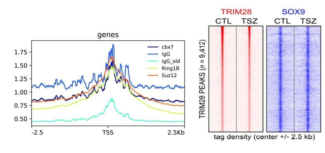 各种组学分析之：Chip-seq (一) - 知乎