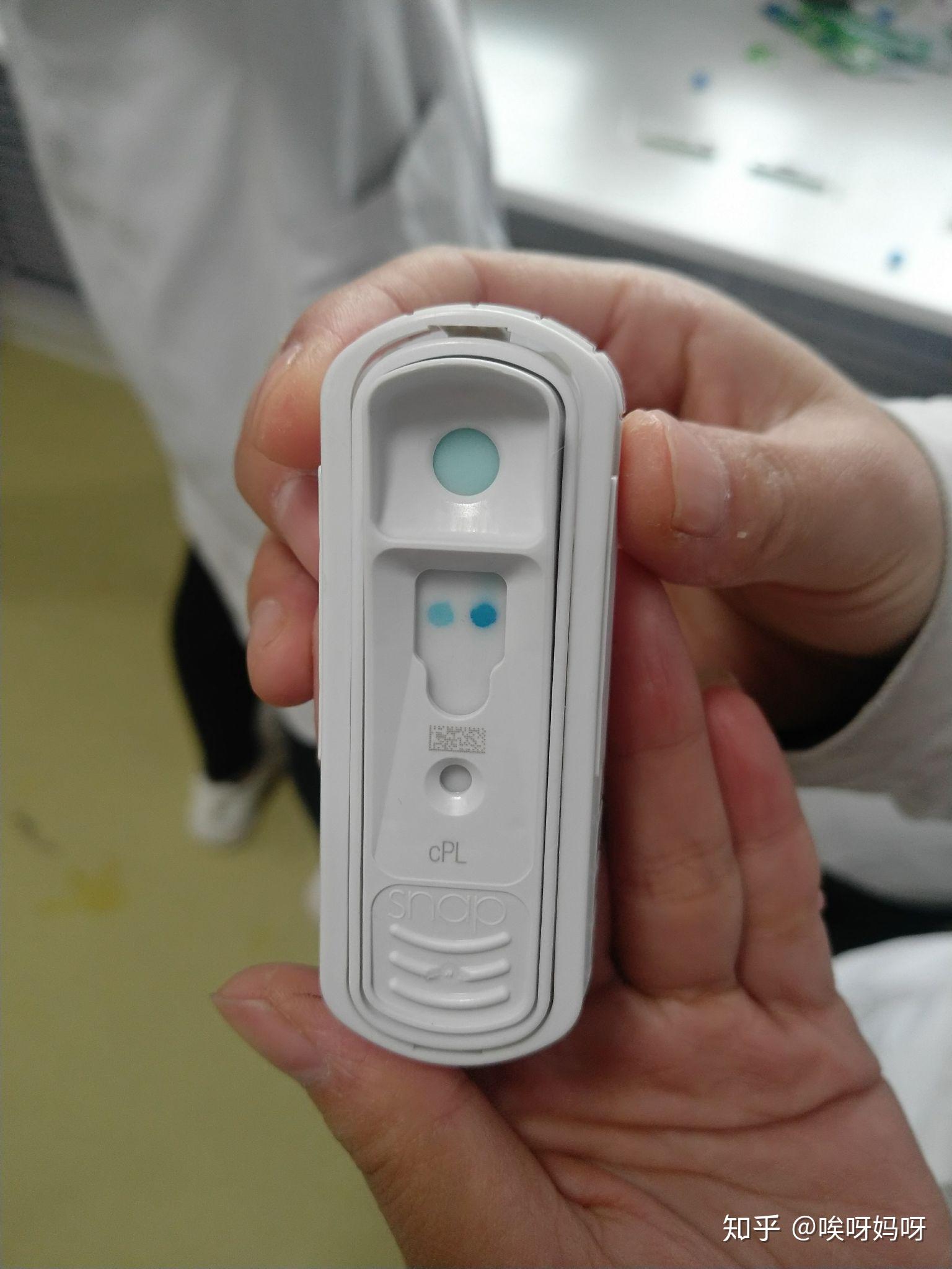 狗狗胰腺炎导致肝肾衰竭