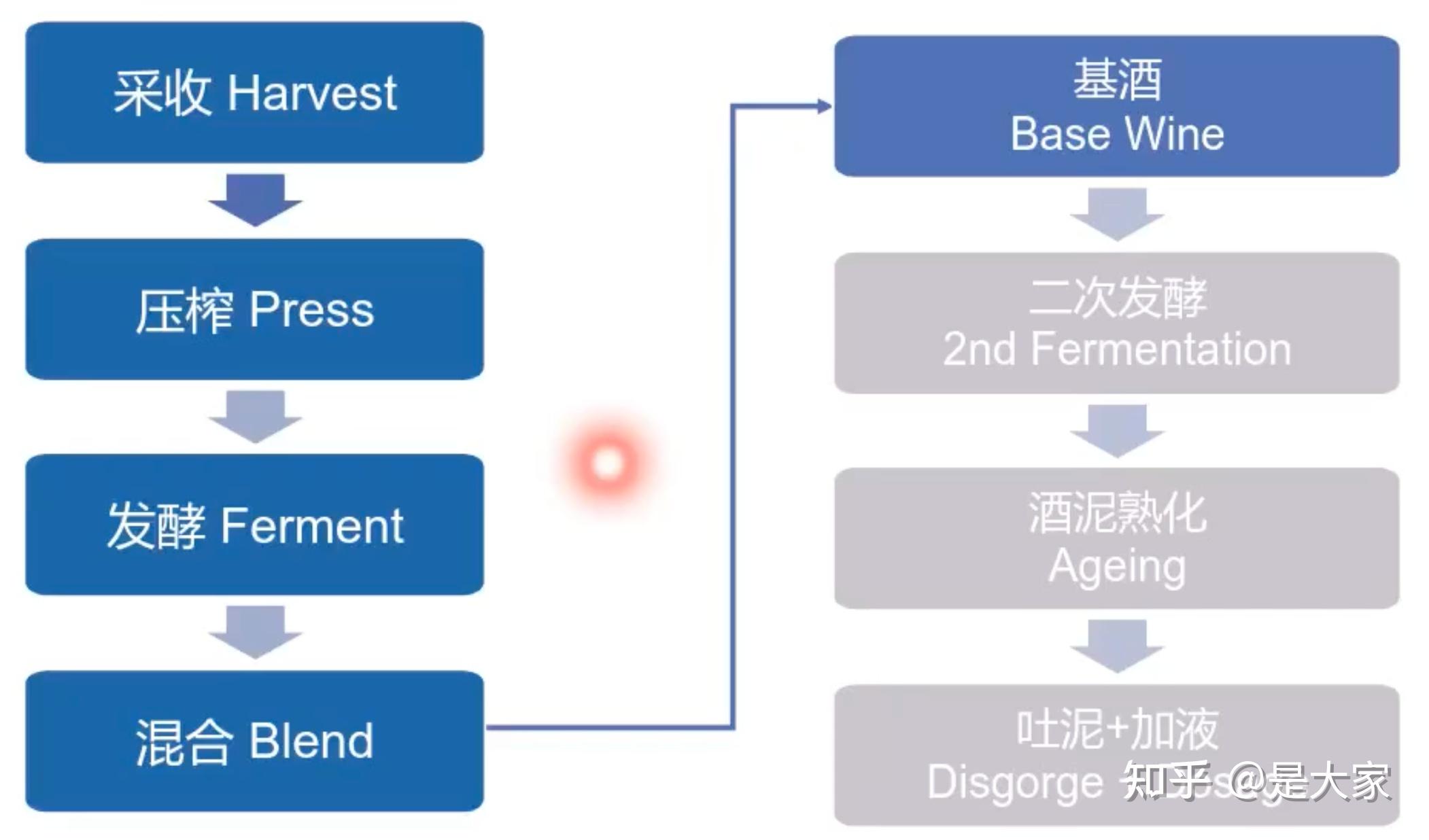 WSET3级学习笔记（12）--起泡酒&餐酒搭配 - 知乎