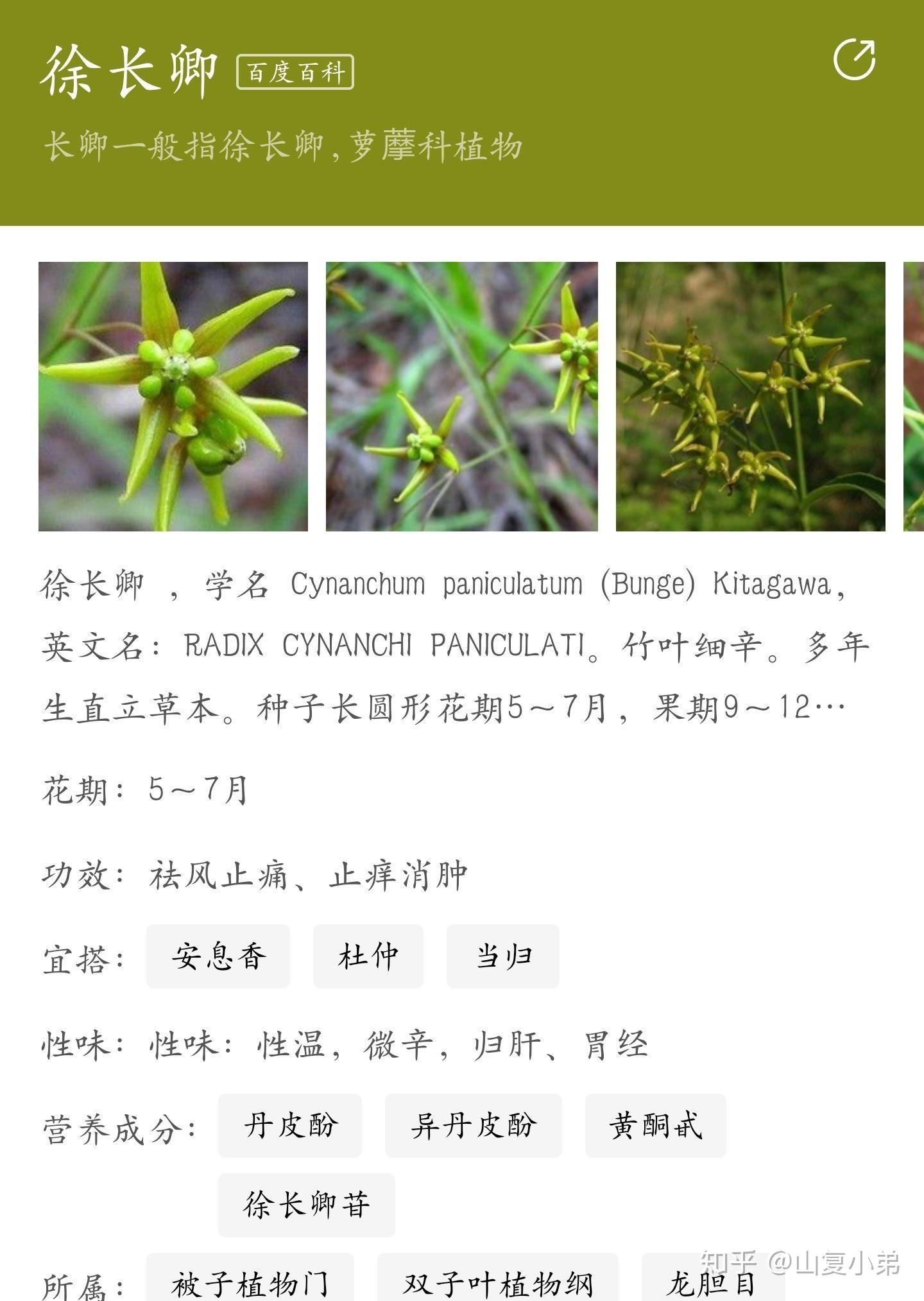 仙剑里的景天,雪见,龙葵,徐长卿,紫萱,重楼,飞蓬.