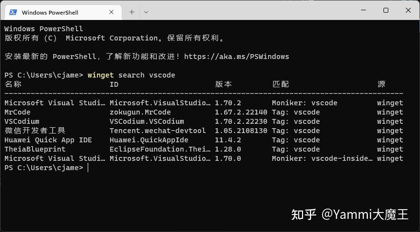 如何使用winget彻底替代各种管家的软件管理工具 - 知乎