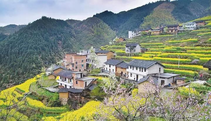 山水组合多少岁 v2-f04d2684c7820d0b5dc384d2a2703064_1440w.jpg?source=172ae18b