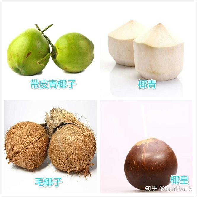 关于椰子汁的学问你知道多少