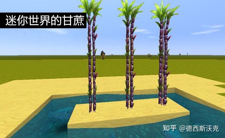 我的世界网易举证迷你世界抄袭的证据mc的甘蔗其实是芦苇