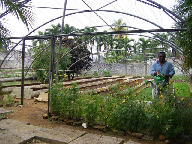 现在的古巴是一个怎样的国家?