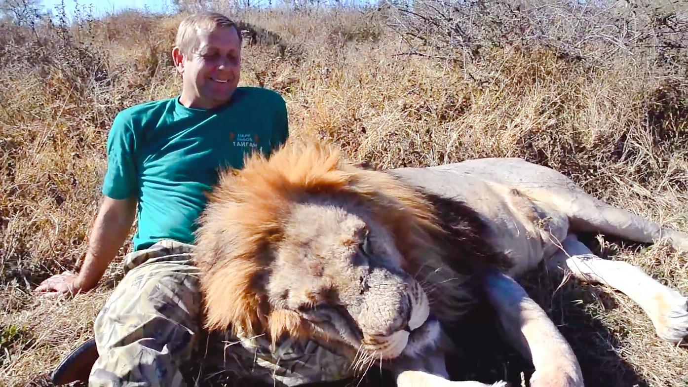 狮王奇克睡觉时会打呼噜吗