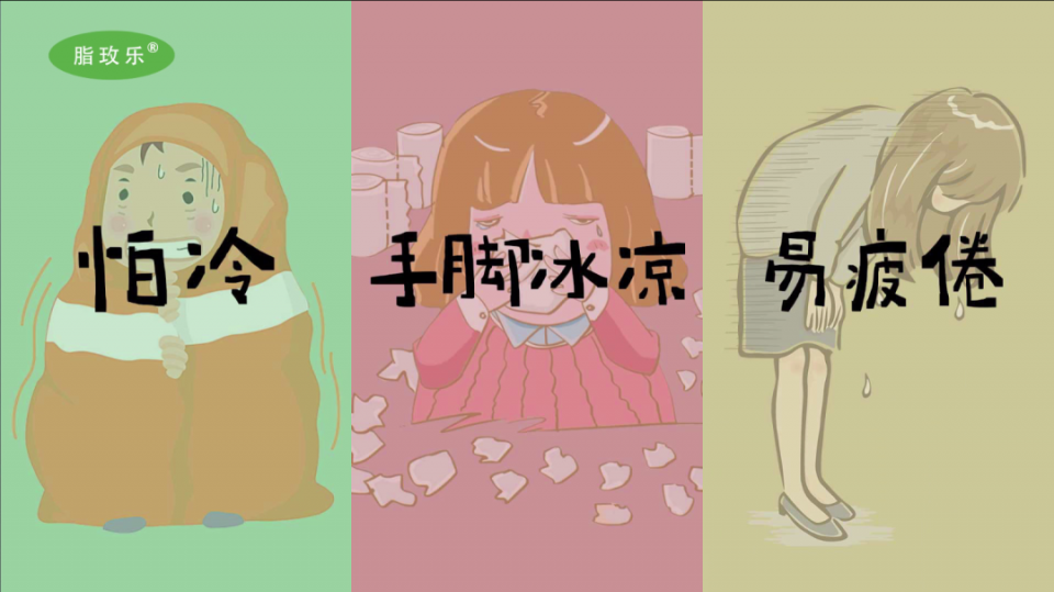 胖子也怕冷脂玫乐教你阳虚怕冷的胖子该怎么减肥