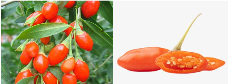 枸杞我不想再被泡了其实就是泡枸杞没啥用我来给大家泼冷水的但是你