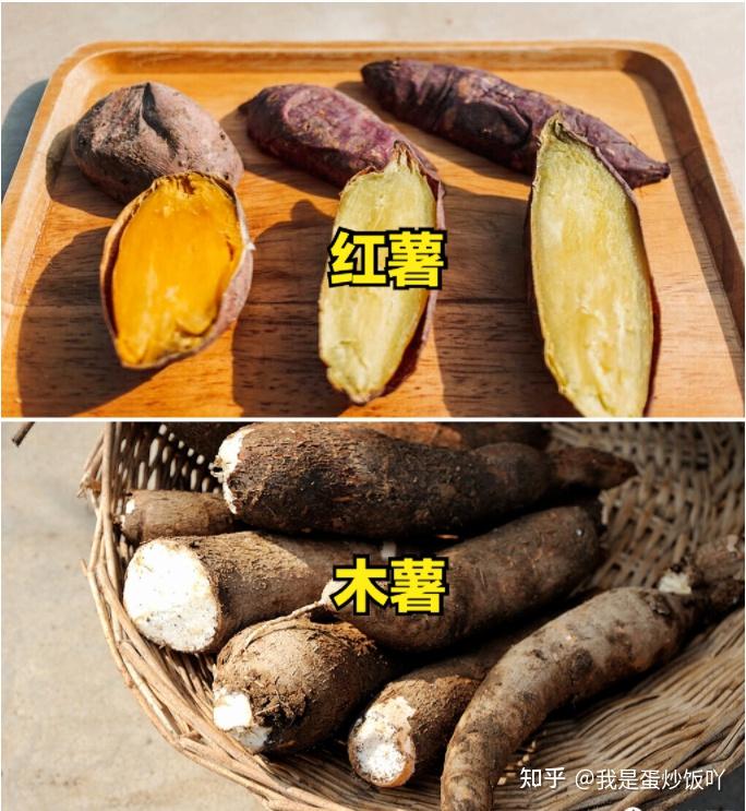 “木薯有毒”,是真的吗?木薯和红薯有啥区别?弄明白后心有底 - 知乎
