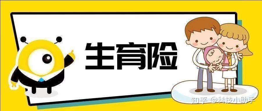 什么时候实行交五险 v2-f07e1c50f0d3b7fcecc5d163a725dec1_r.jpg