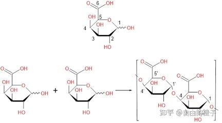 果胶简介