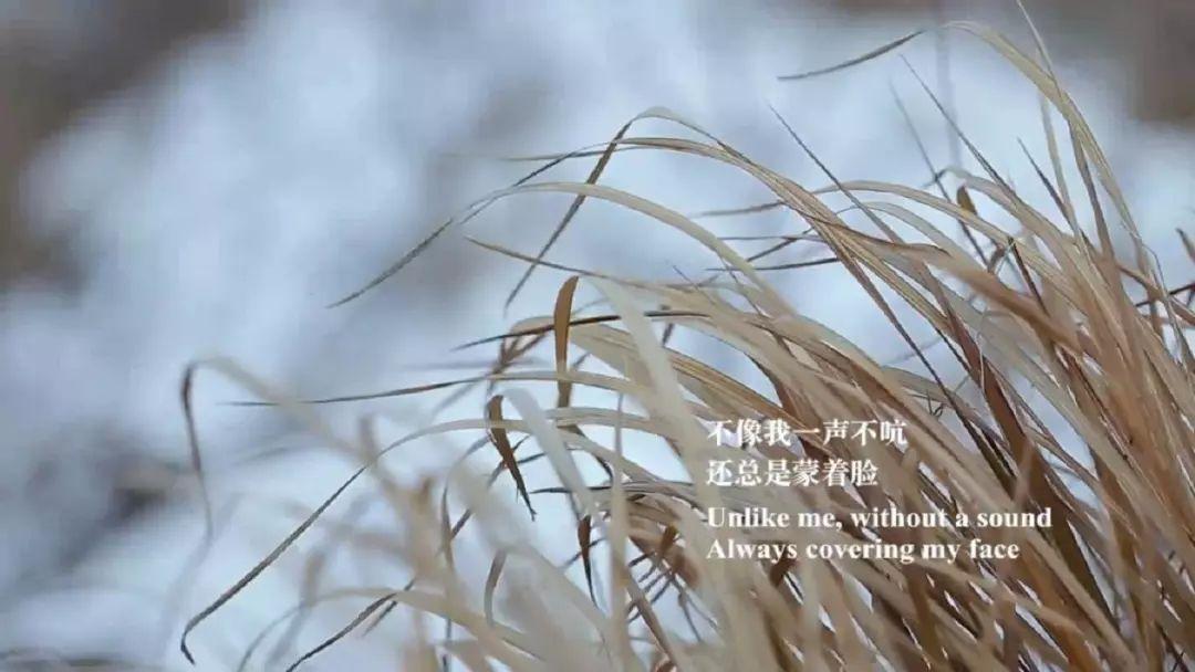 「穿过大半个中国去睡你」的她，身上有我们缺失的东西