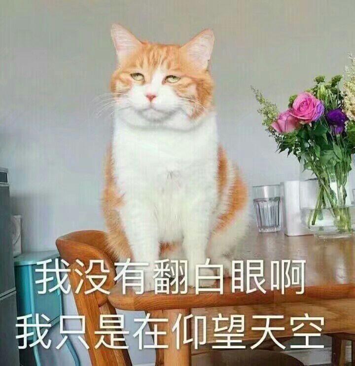 v2-f08cf0cb8c29caee72700dddd783cc2f_r.jpg