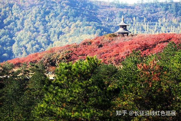 群星璀璨