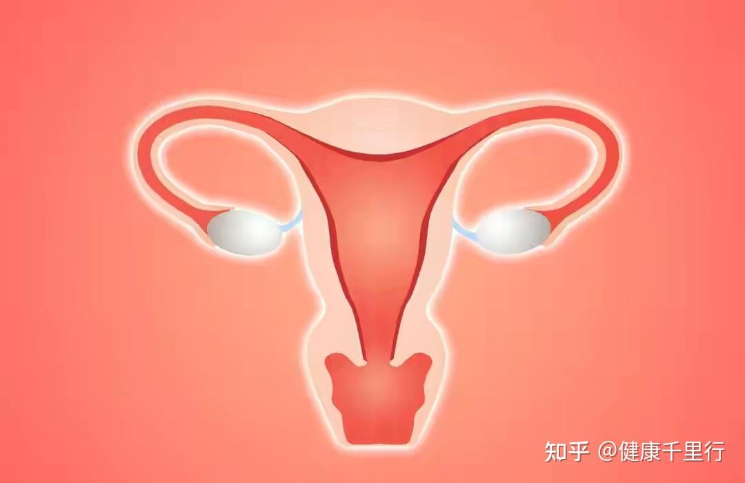 女性私密部位為什麼比男性更容易得炎症