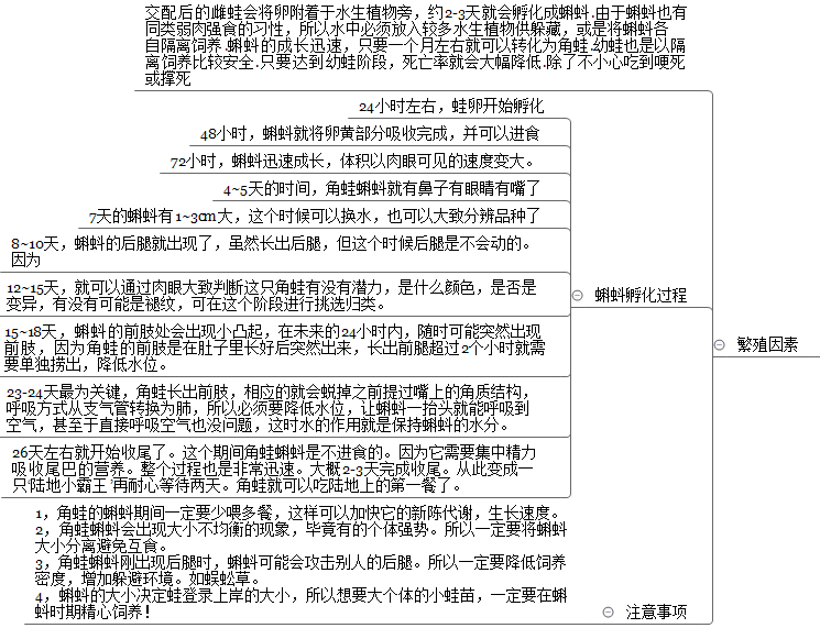 角蛙养角蛙钟角蛙南美角蛙霸王角蛙