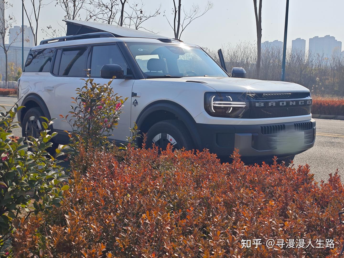 福特智趣烈马这匹马不仅会跑