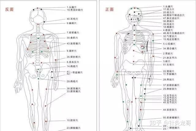 从“脏腑病,而求门、海、俞、募之微”论脏腑病针灸治疗取穴规律 - 知乎
