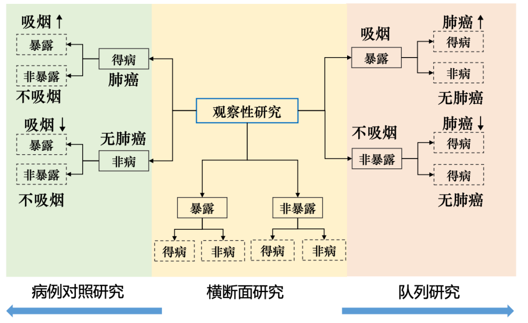 病例對照橫斷面與隊列研究的區別來看正確和錯誤案例