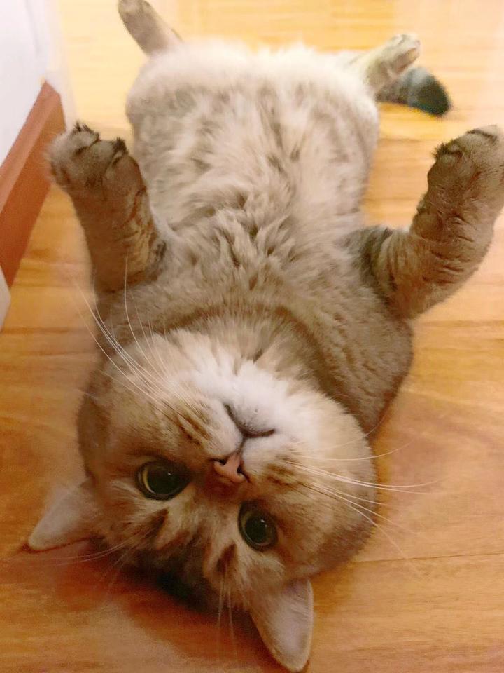 python内置函数print：看完用print玩出花 - 知乎