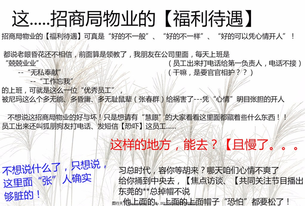 招商局物业 好比 东莞 松山湖招商局物业张春群 凭 心情 开勤奋 踏实员工 员工出来还玩 恐吓 知乎