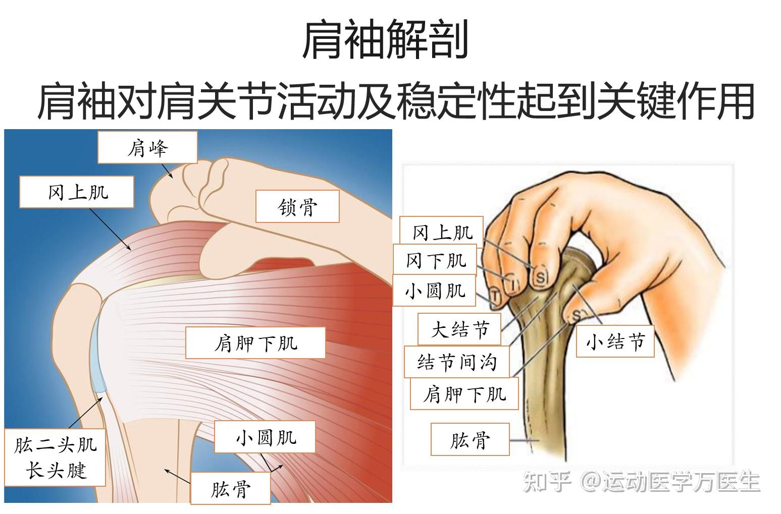 剪力墙拉筋是怎么布置的？