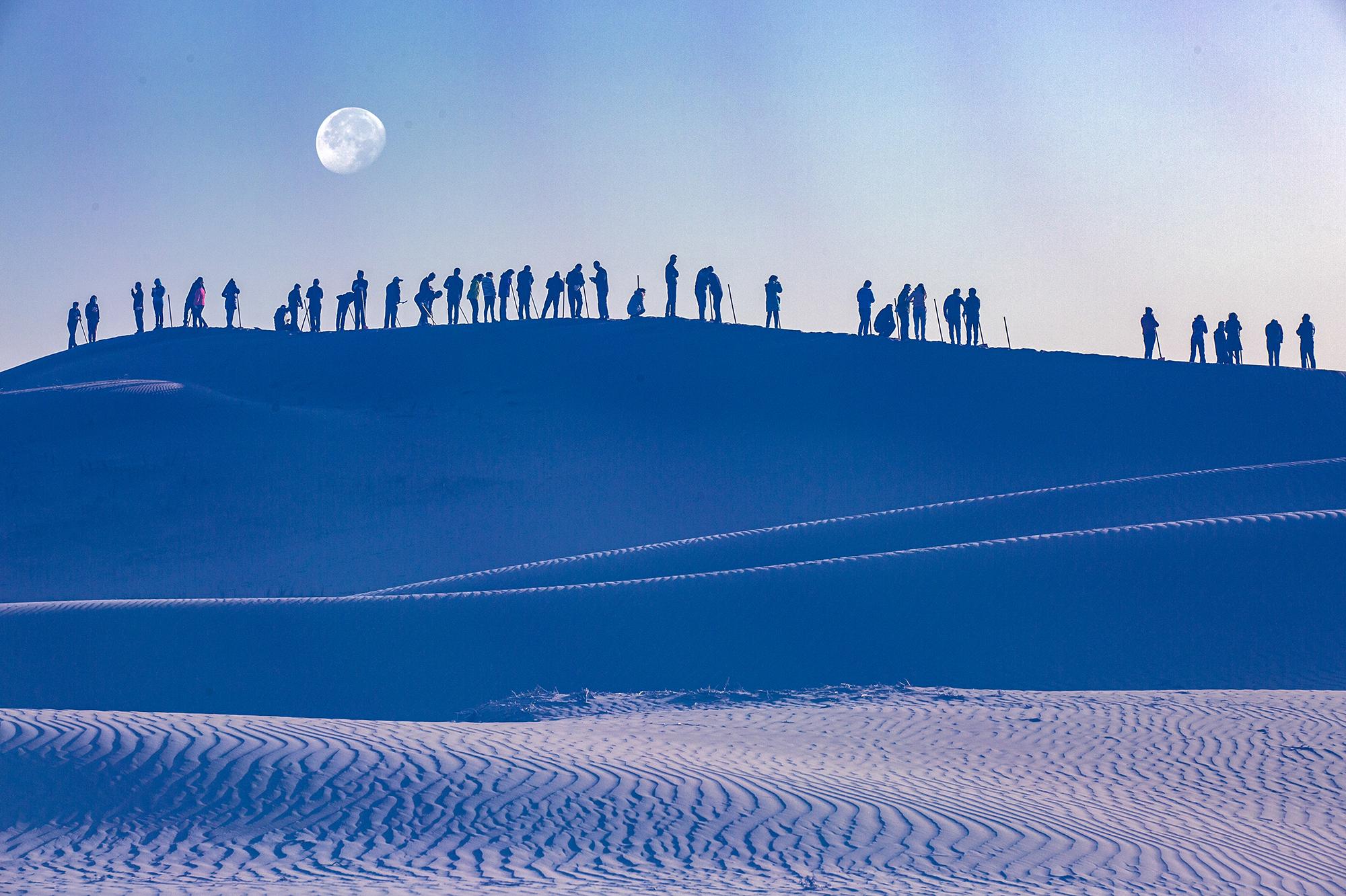 刘怀裕敢把沙漠变绿洲第一届甘肃现代摄影艺术展览优秀摄影作品