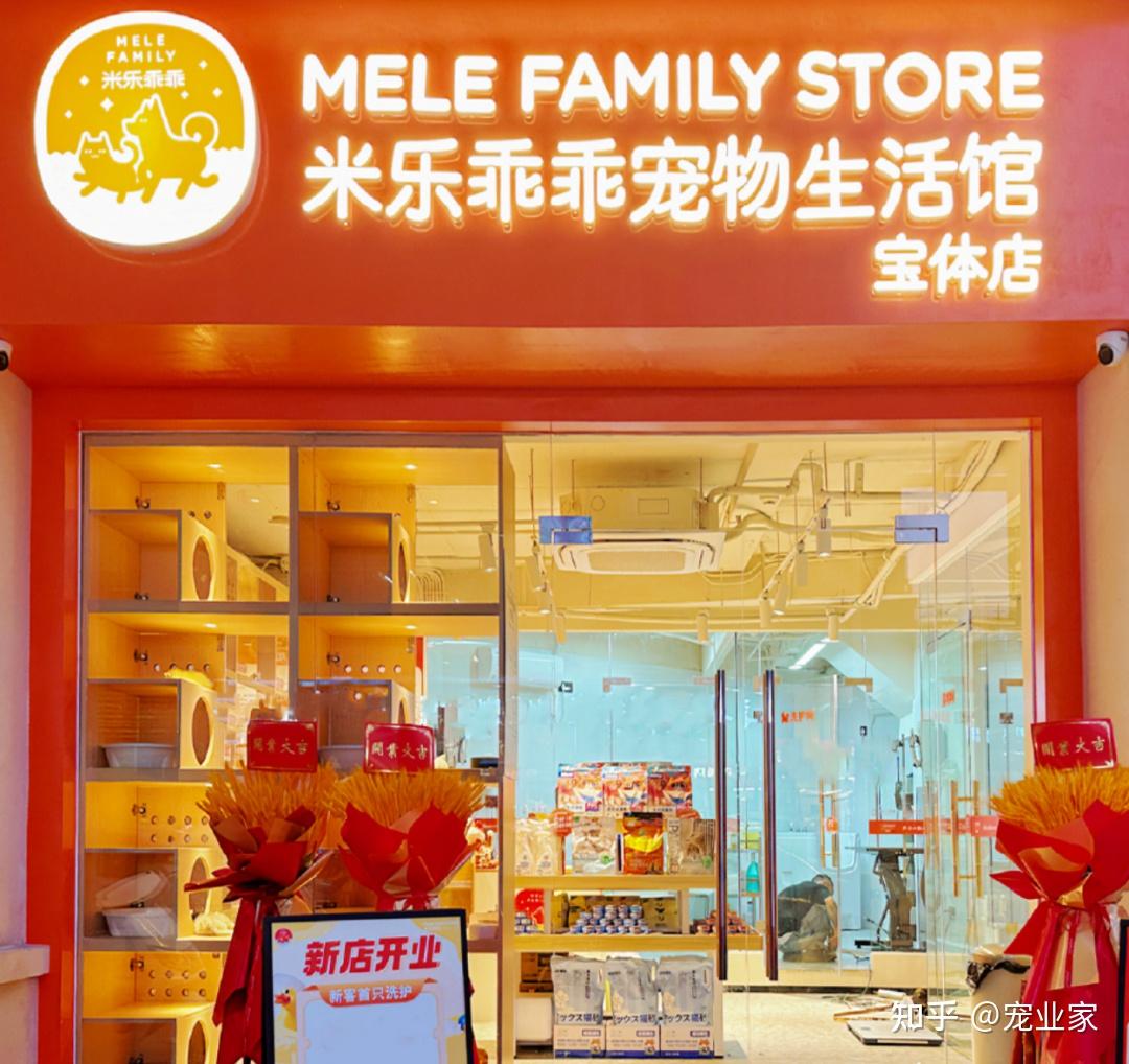 朝云集团新动态今年加速布局线下宠物店