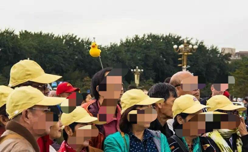 信息接收的“印刻效应” - 知乎