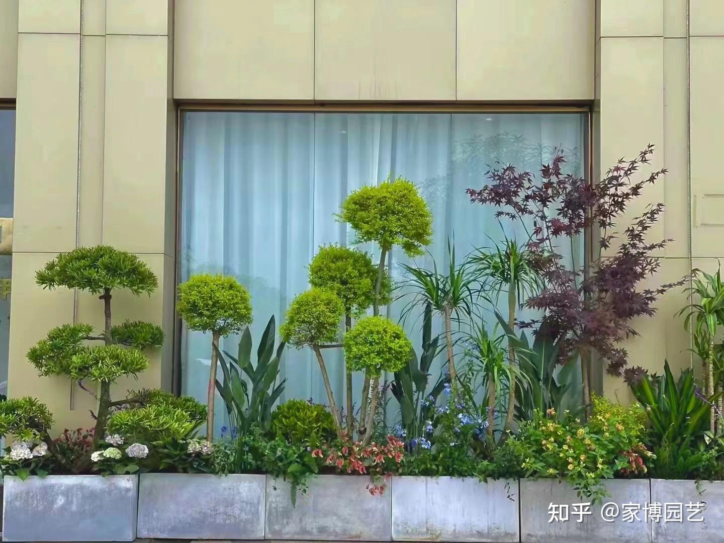 家博园艺 | 室内微景观上新 - 知乎