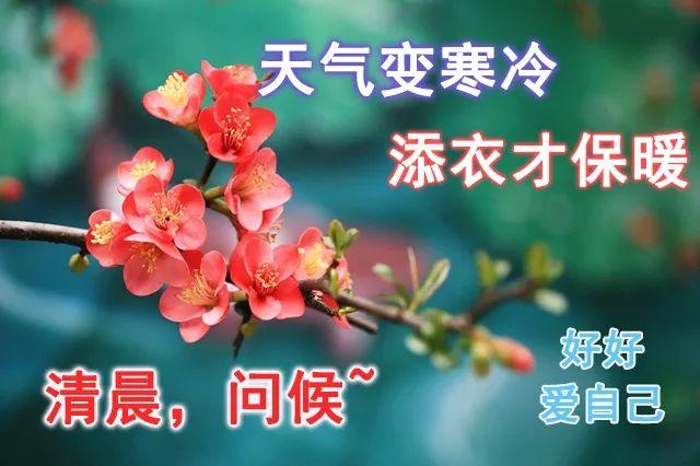 2022最新版清晨问候早上好漂亮表情图片早上好问候语美丽句子