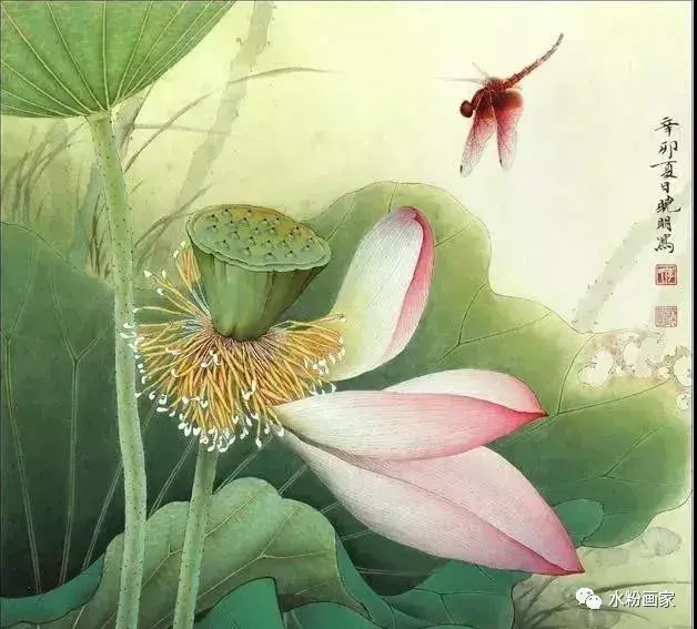 【工笔画】 荷花的步骤图 - 知乎