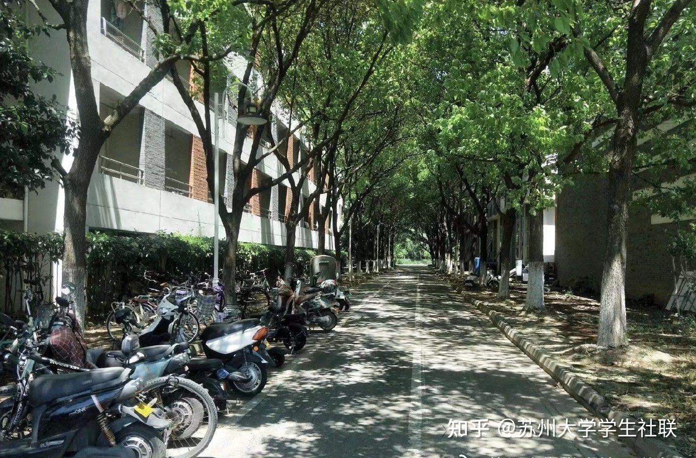 苏州大学新生攻略 - 知乎