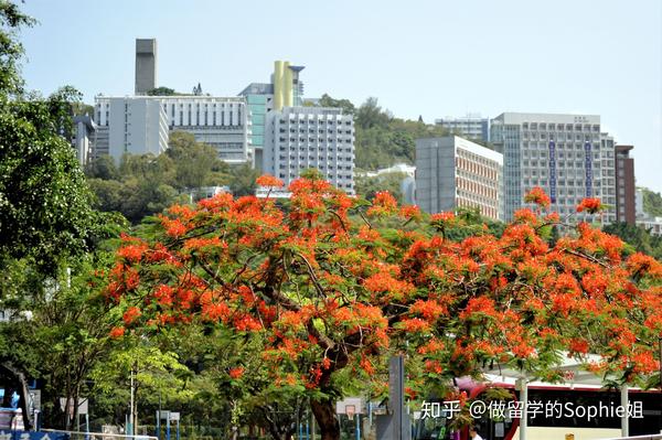 兰蔻香港官网中文_香港中文大学官网_next香港官网中文