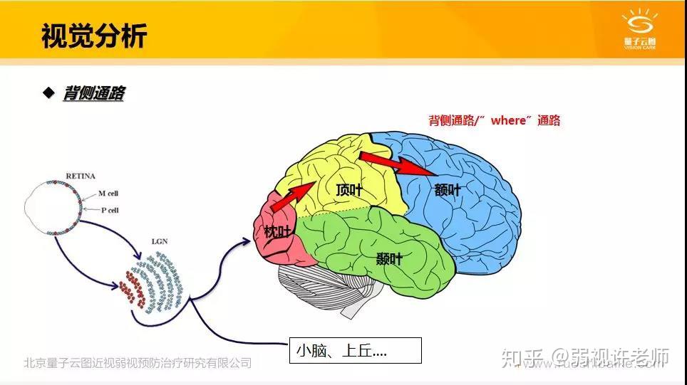 “视”界之大,无奇不有 - 知乎
