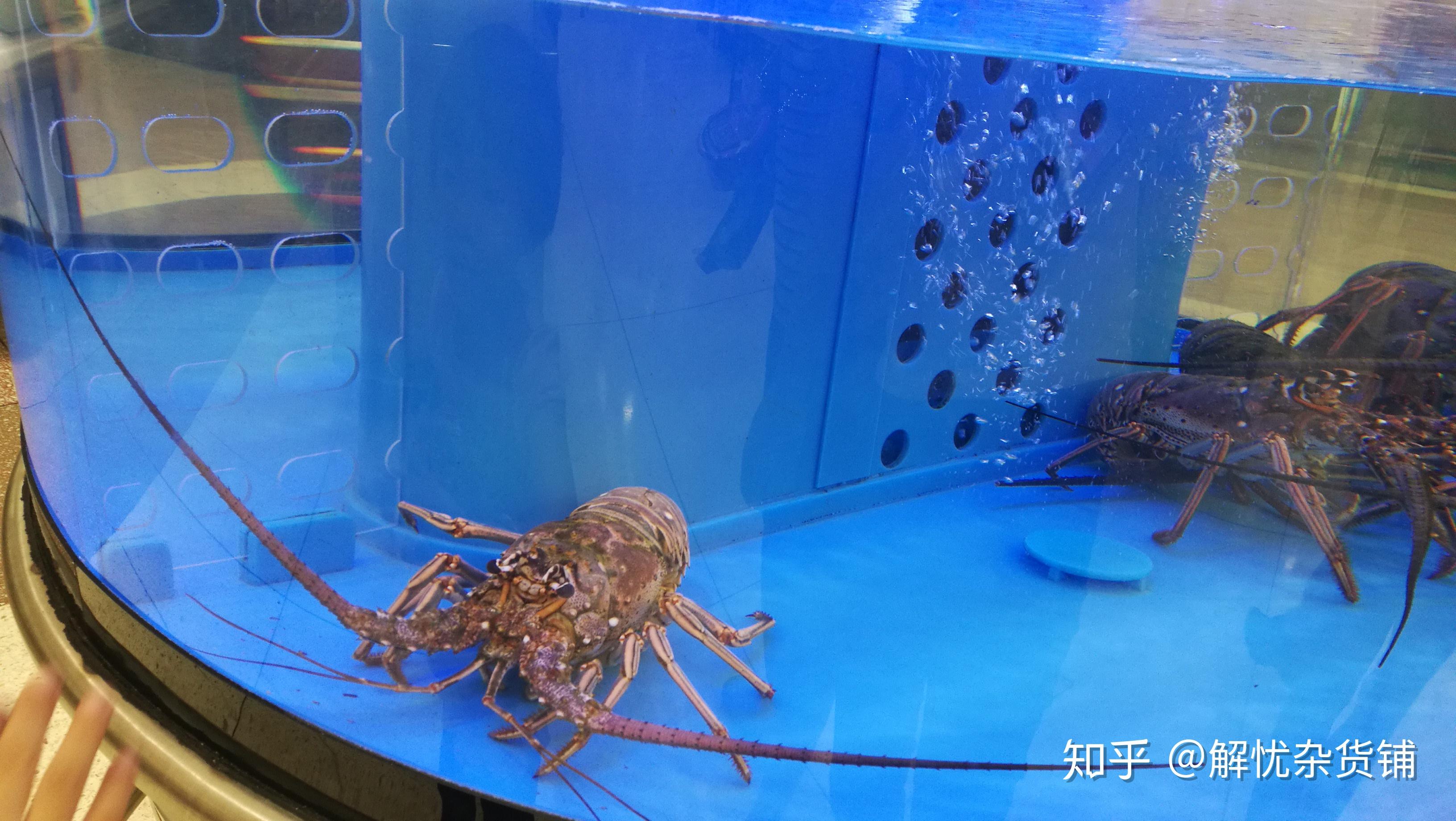 墨西哥探索之旅3—神秘金字塔细说版 - 知乎