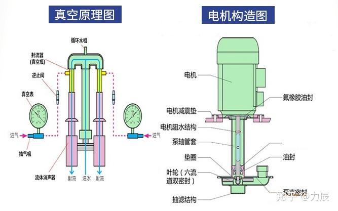 循环水真空泵可以用来做什么实验?