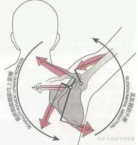 v2-f139ff545731a2e8e47b8d8117b3c889_r.jpg