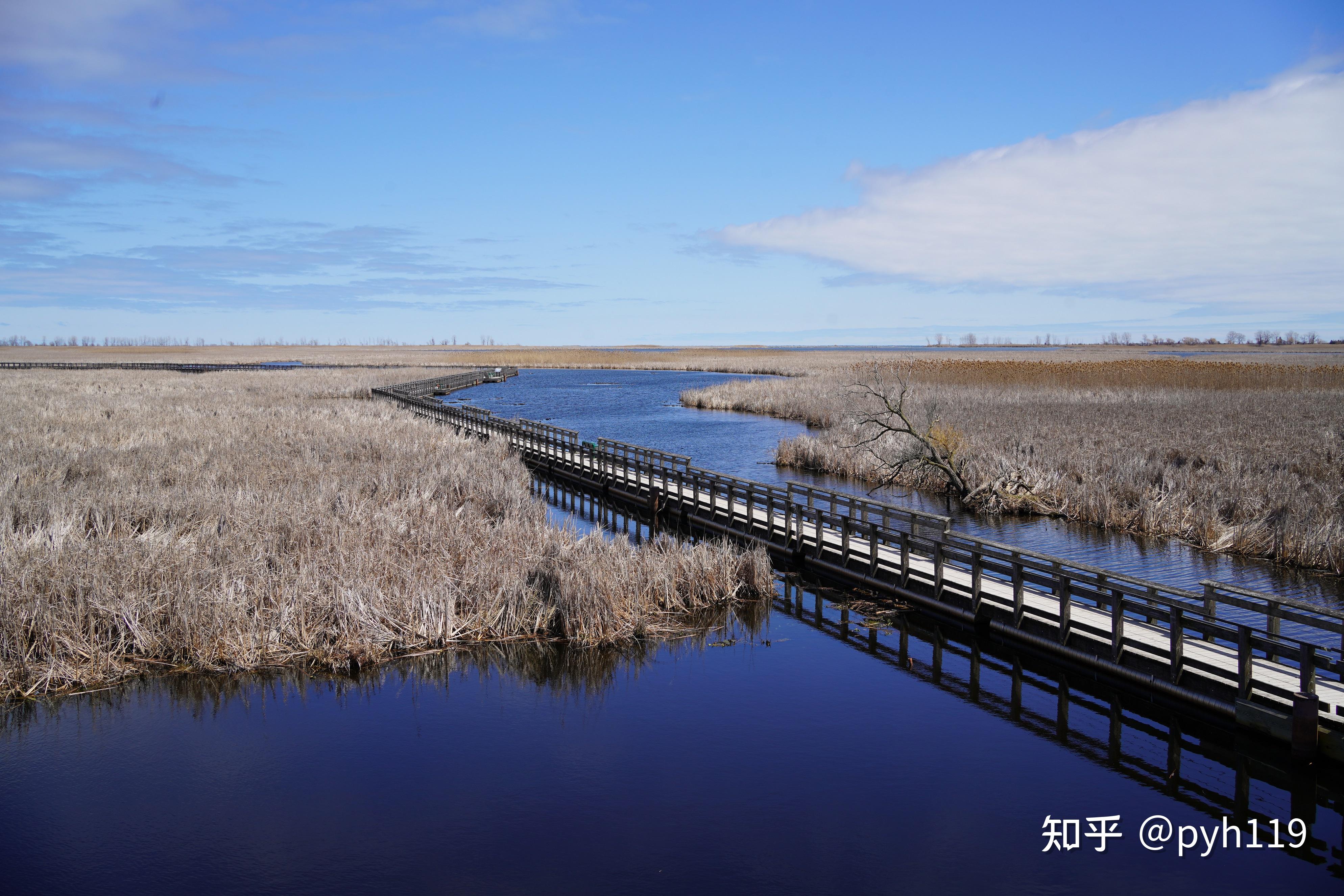 绿水湖畔的黑沼泽皮利角国家公园