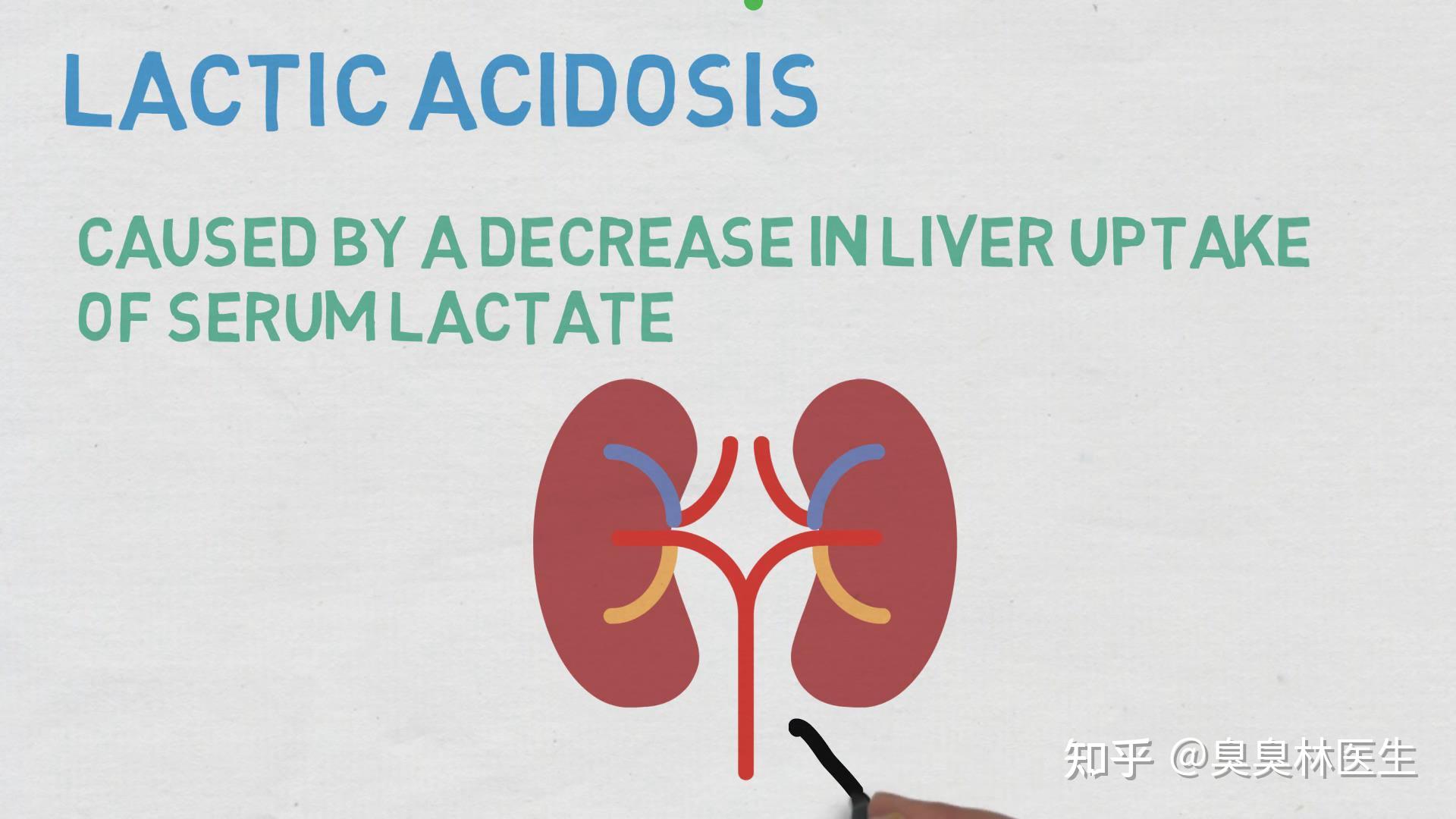 二甲双胍降糖神药长生不老药