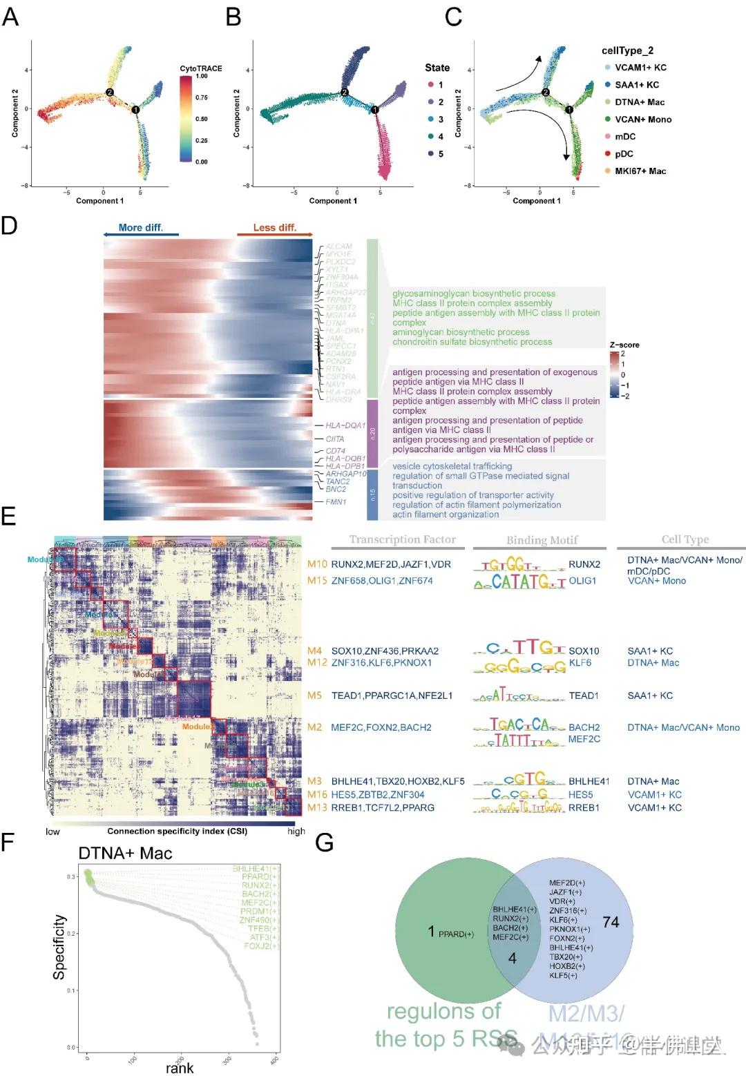 最新15+纯生信，单细胞+空转+bulk+ATAC-seq+机器学习，识别疾病进展相关细胞亚型。最新高分思路，肿瘤非肿瘤均合适！ - 知乎