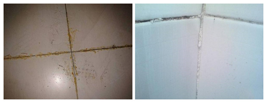 1, 白水泥一,填缝剂区别女子跟汉子的区别是什么