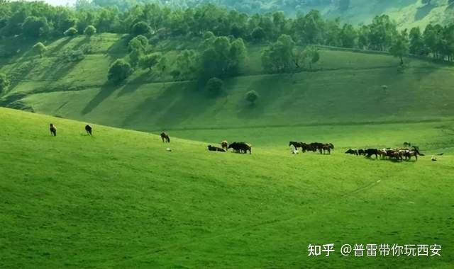 紅河谷森林公園寶雞市眉縣營頭鎮境內6767④關山牧場寶雞市隴縣