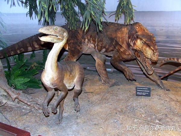 (镶嵌踝类)为代表的大型肉食性顶级掠食者(如:劳氏鳄目,鸟鳄,波波龙科