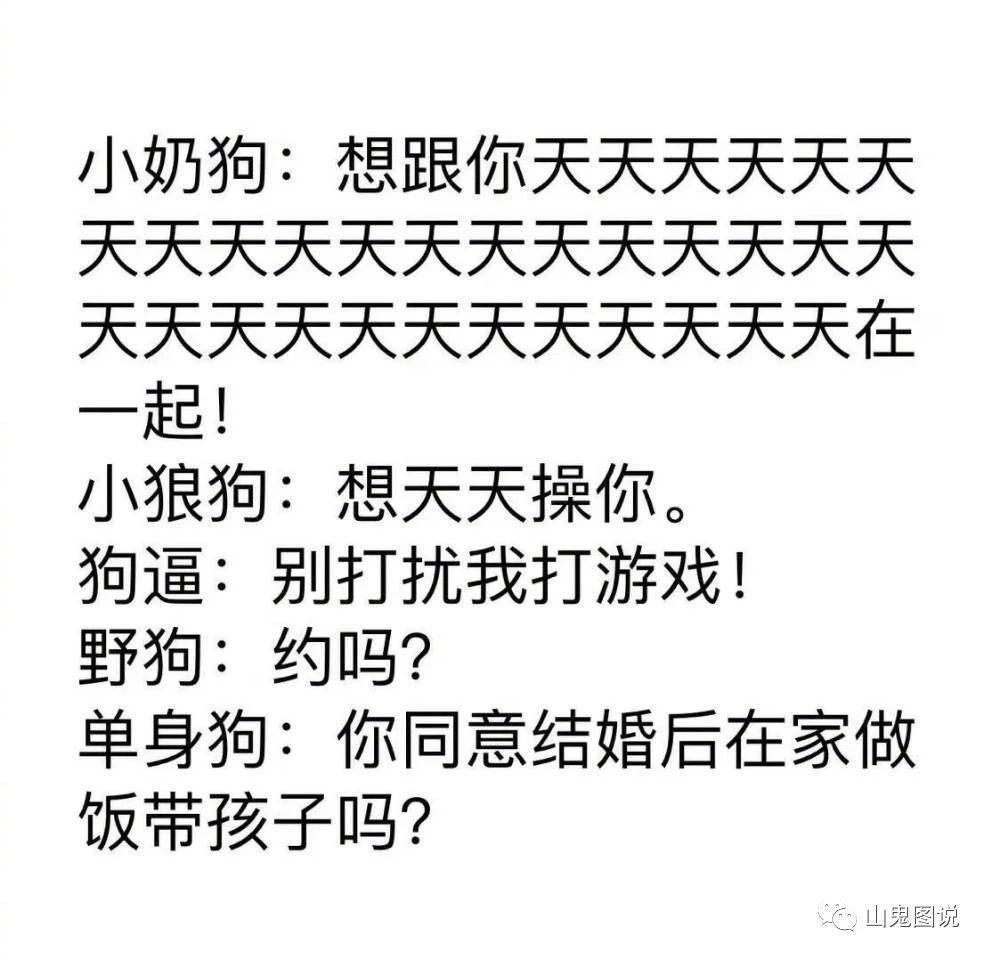 她的小奶狗和我的小阔爱