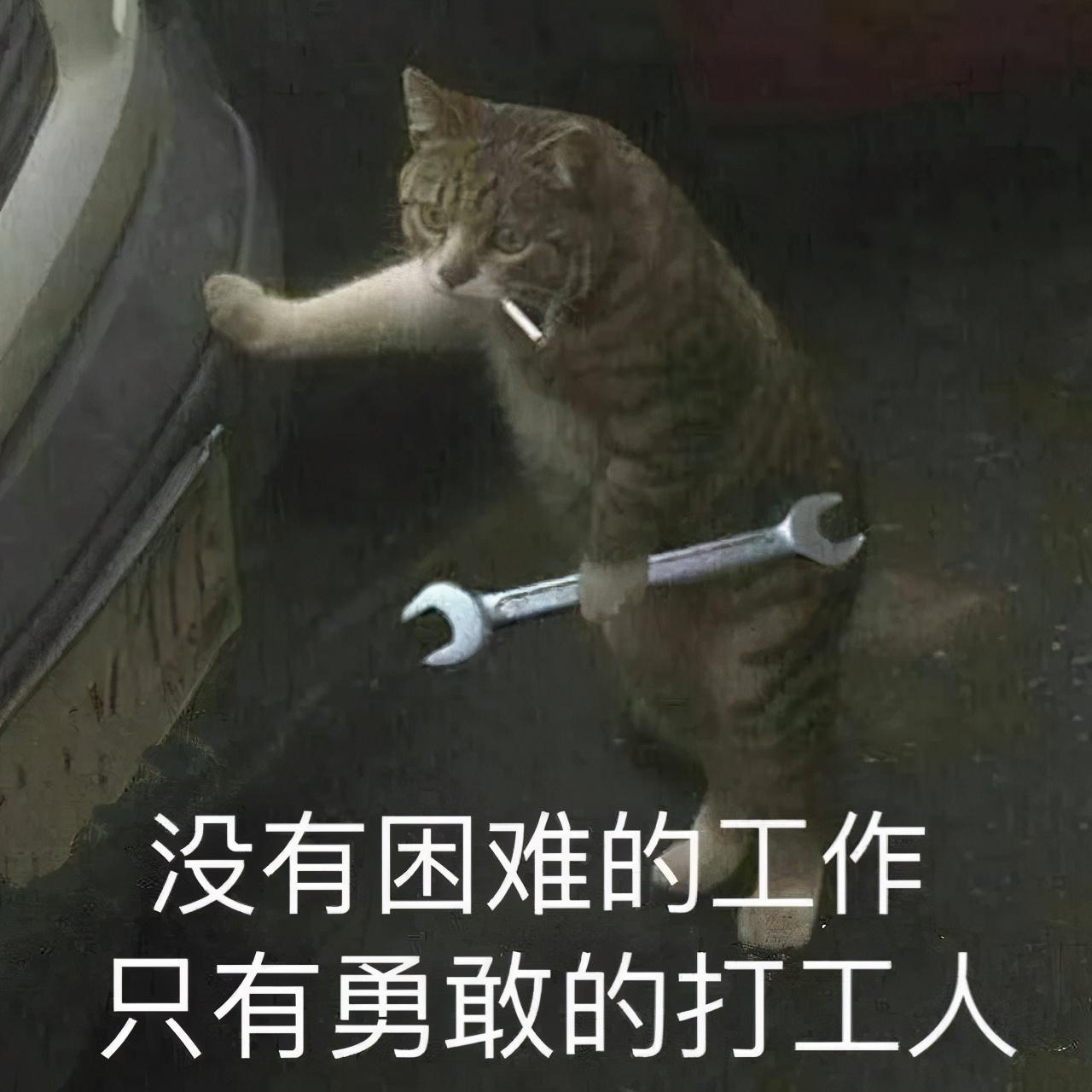 v2-f17b634dc92354d7fa4edb0ccb494f3e_1440w.jpg?source=172ae18b