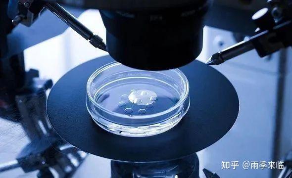怎么做三代试管(怎么做三代试管婴儿视频)-第2张图片-鲸幼网