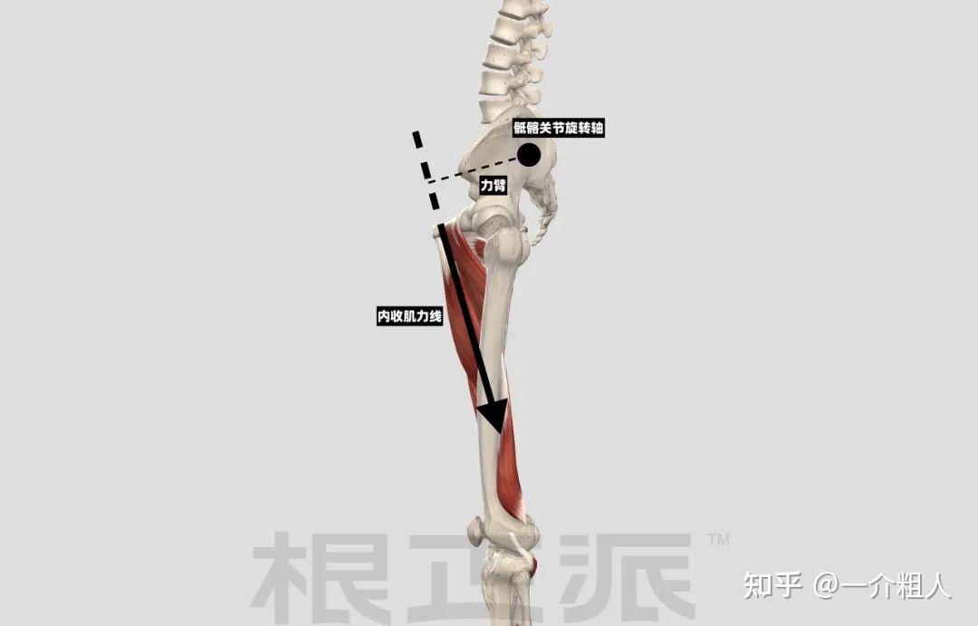 我欲称他为健美大师