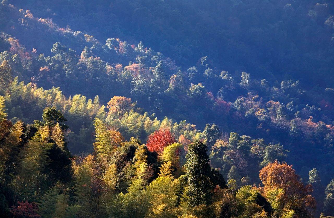 江西官山万籁和鸣大有可观