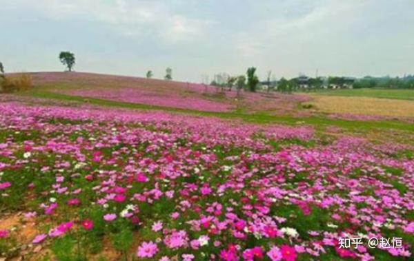 成都欢乐谷地图_紫谷伊甸园欢乐冰雪节_欢乐满山谷音乐教案